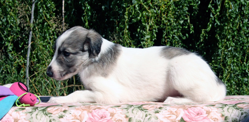 Surf Spots - Girl 2 Cute